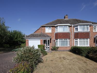 Picture 28